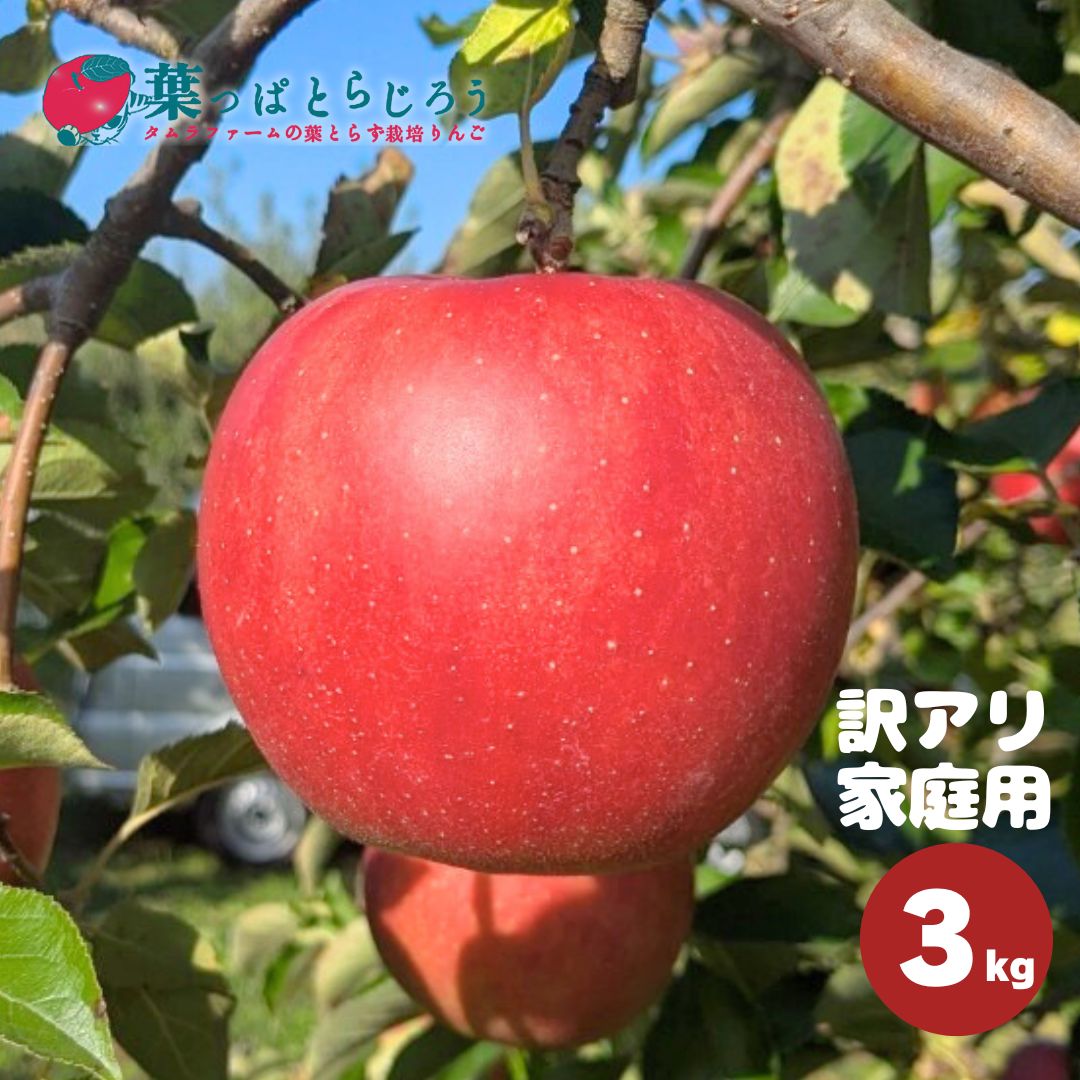 サンジョナゴールドりんご 3kg | タムラファームショップ