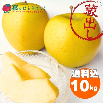 【予約注文】蔵出しシナノゴールド１０ｋｇ【数量限定・送料込】