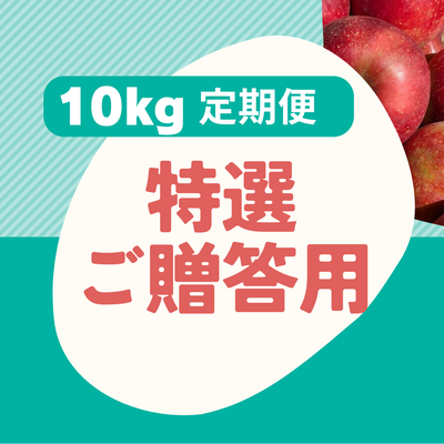 １０ｋｇ特選贈答用・おまかせ旬林檎の定期便【送料込】