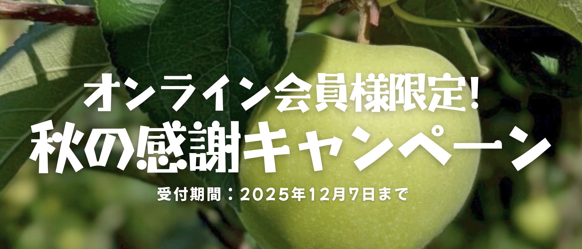 秋の感謝キャンペーン