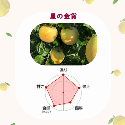 星の金貨 5kg | タムラファームショップ
