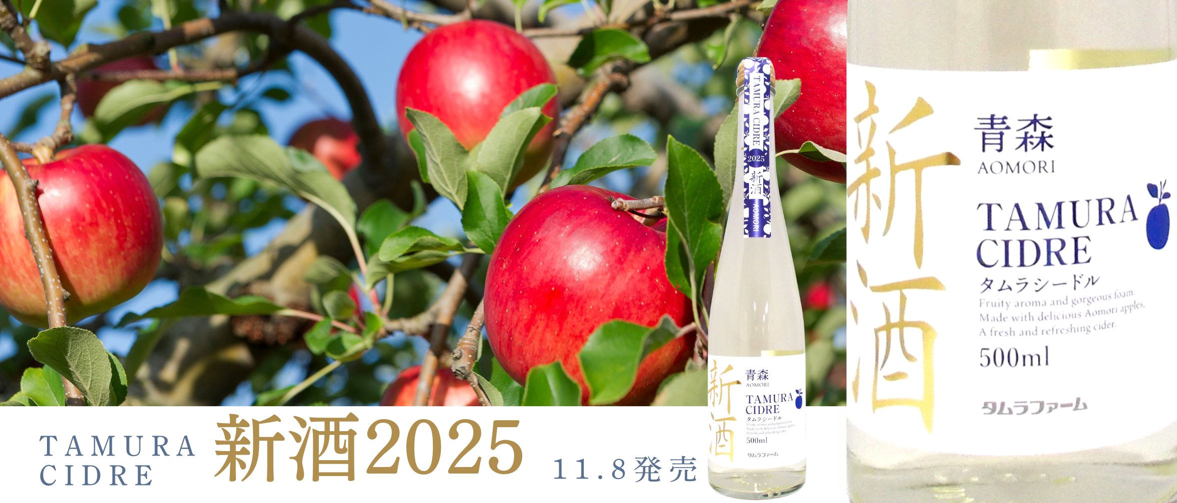 11月8日 2025年新酒発売