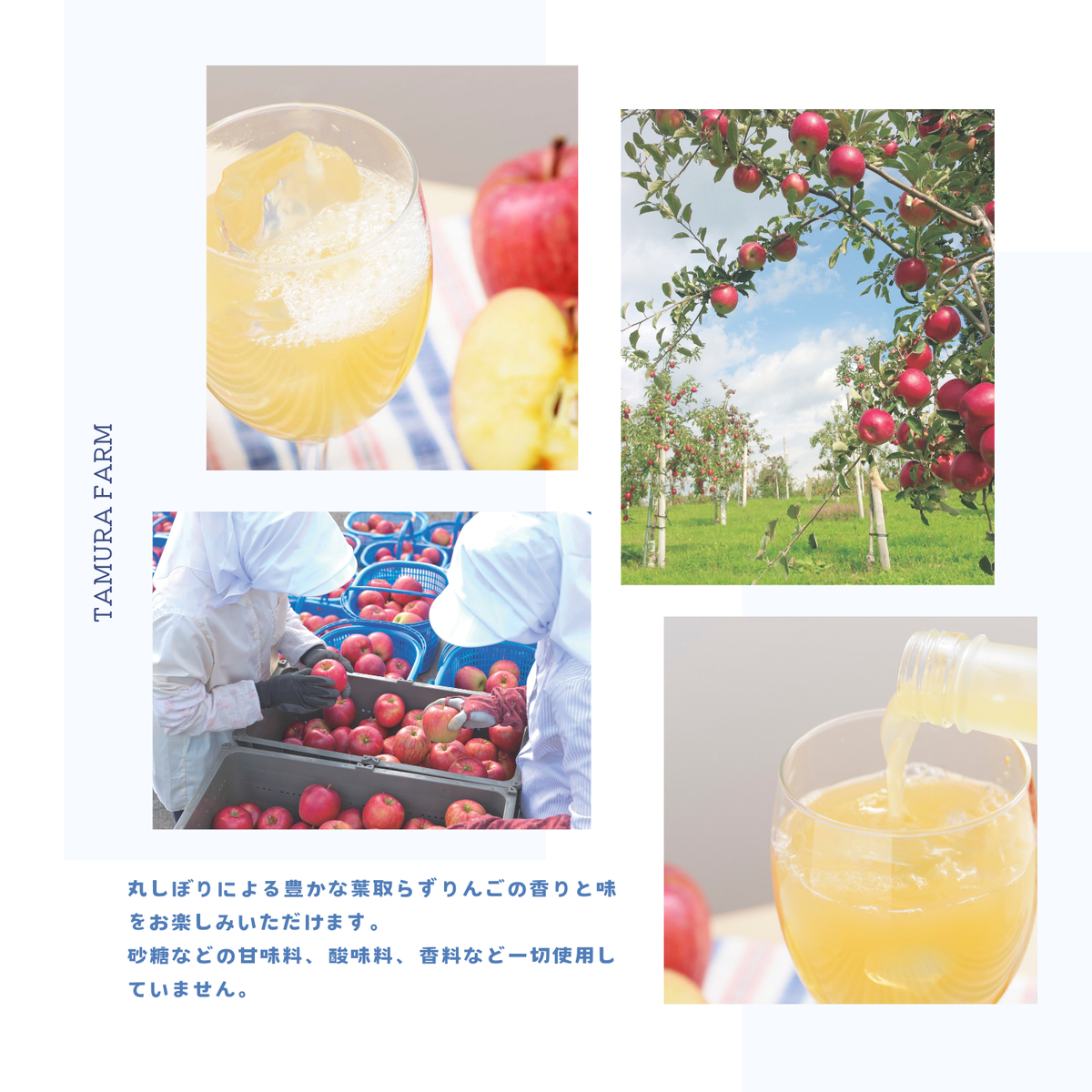 雪ミク×タムラファームコラボ青森県産りんごジュース 500ml 3本【期間