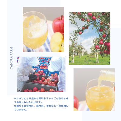 雪ミク×タムラファームコラボ青森県産りんごジュース 500ml 3本【期間