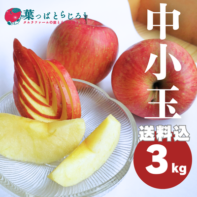 サンふじ葉っぱとらじろうりんご15kg | タムラファームショップ