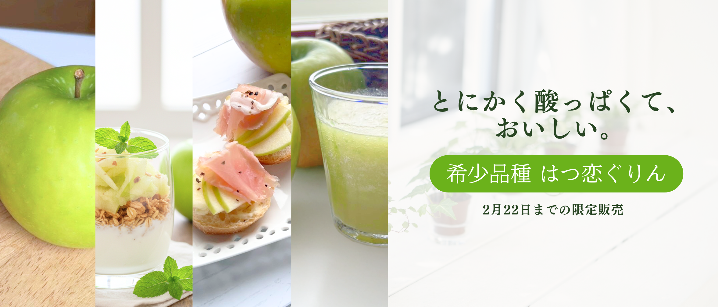 はつ恋ぐりん新発売