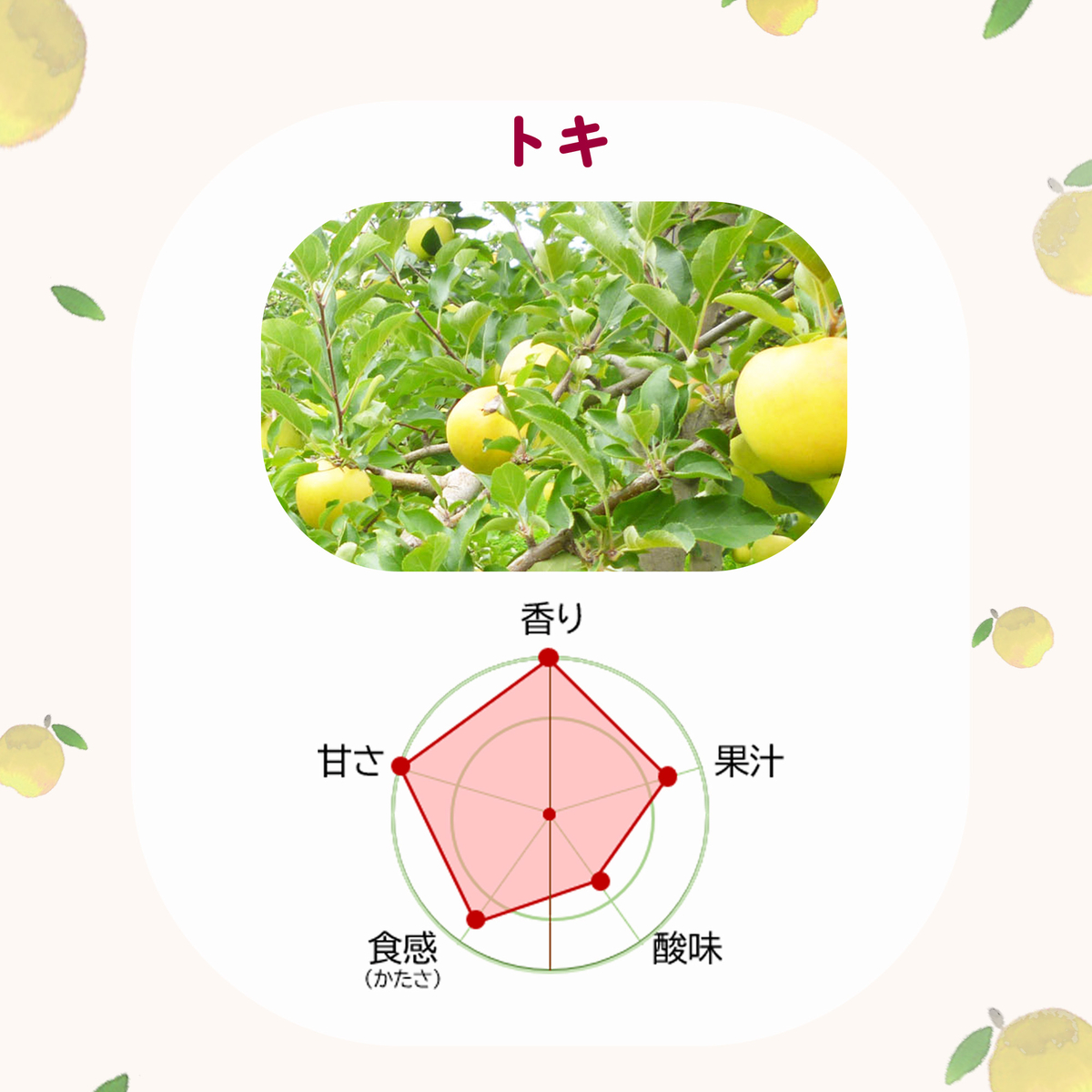 トキりんご 3kg | タムラファームショップ