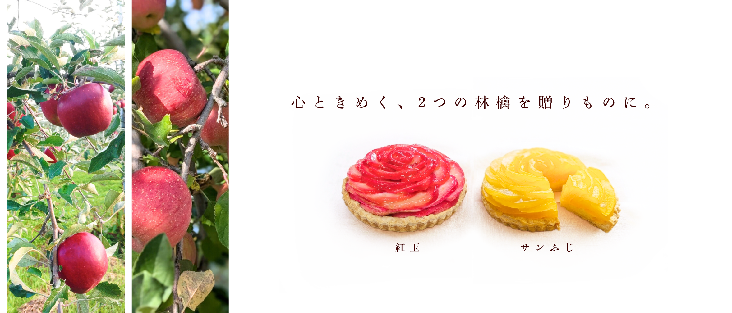 タムラファーム アップルパイ