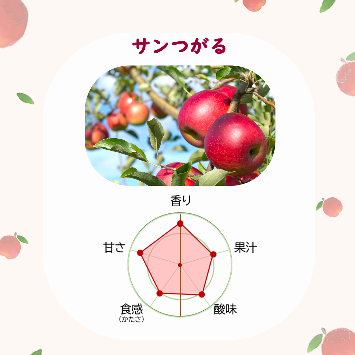 サンつがるりんご 3kg | タムラファームショップ