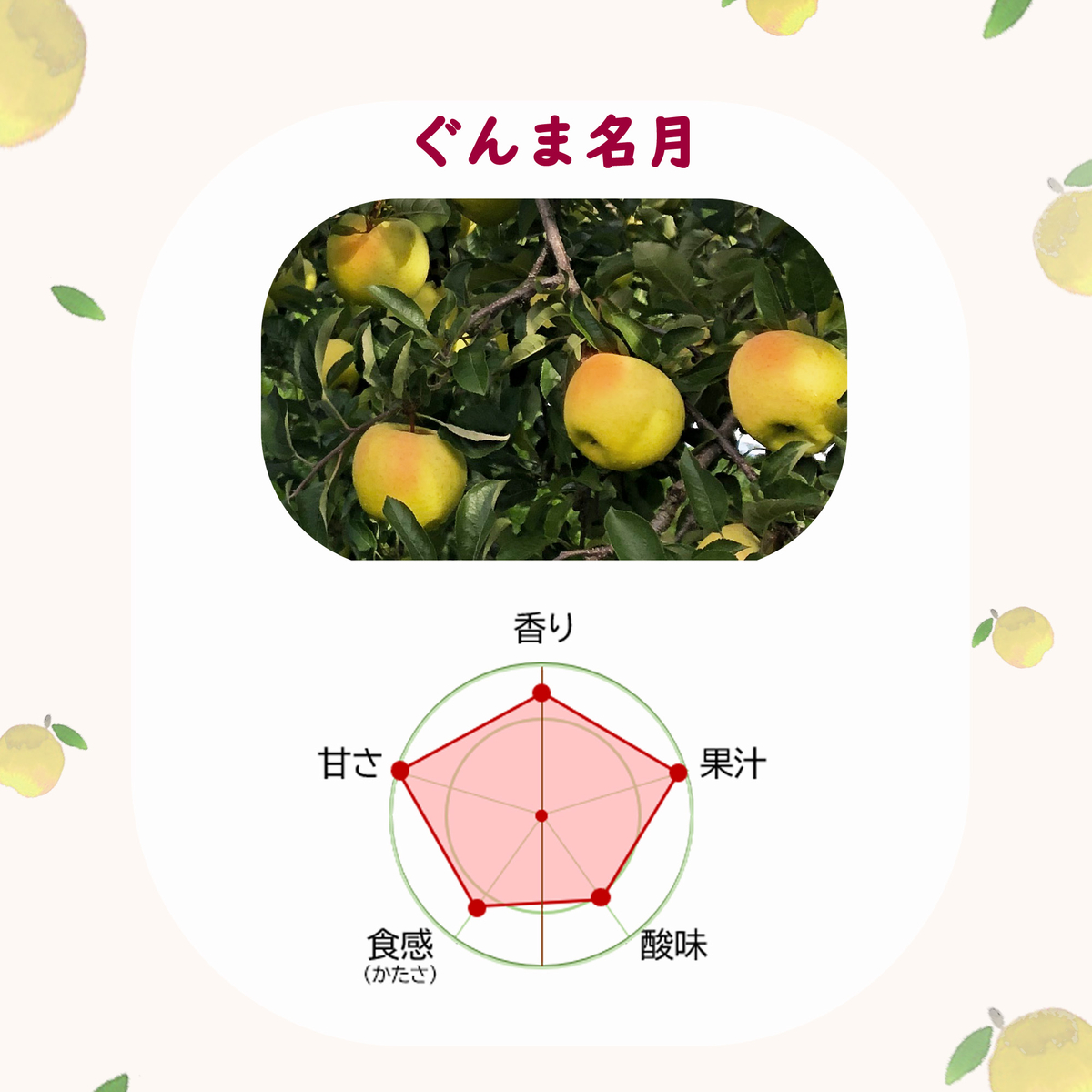 ぐんま名月 5kg | タムラファームショップ