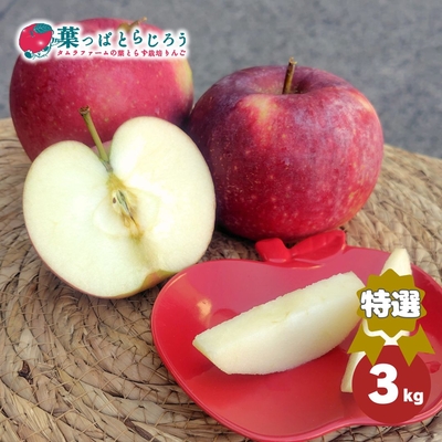 恋空 特選・中小玉３kg【冷蔵・送料込】