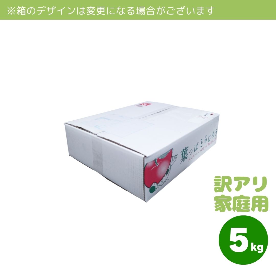 青森県産星の金貨直送便皮ごと丸かじり極甘黄金りんご | タムラ