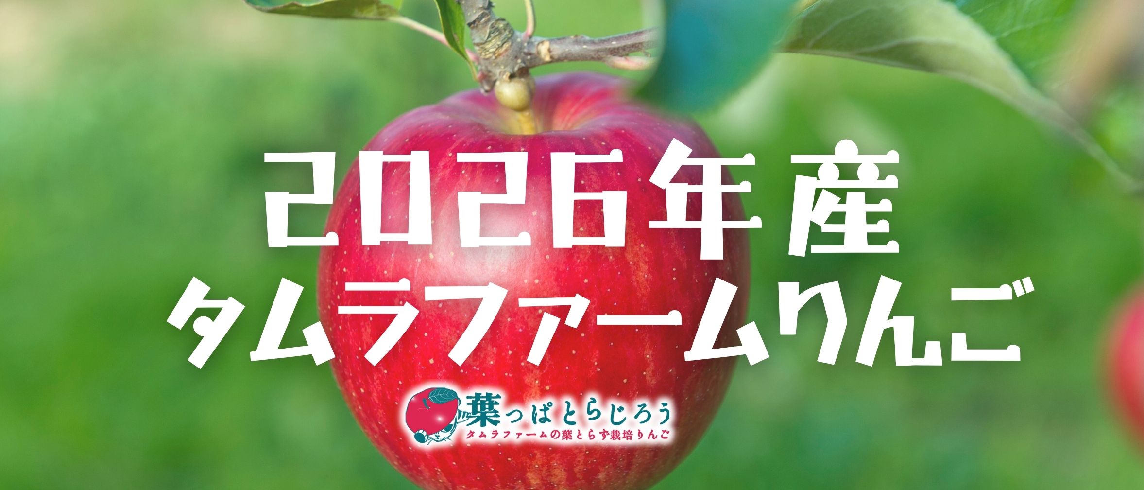 タムラファームのりんご