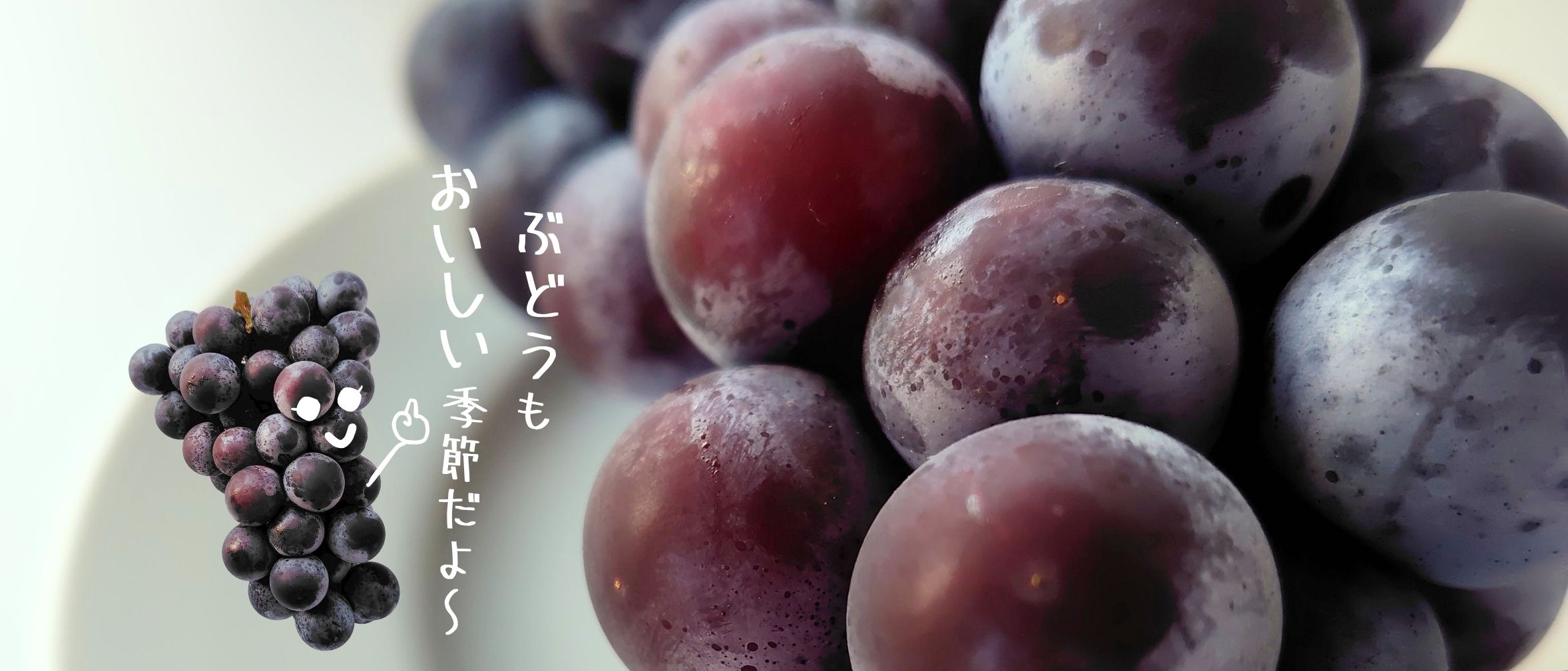 タムラファームのスチューベン