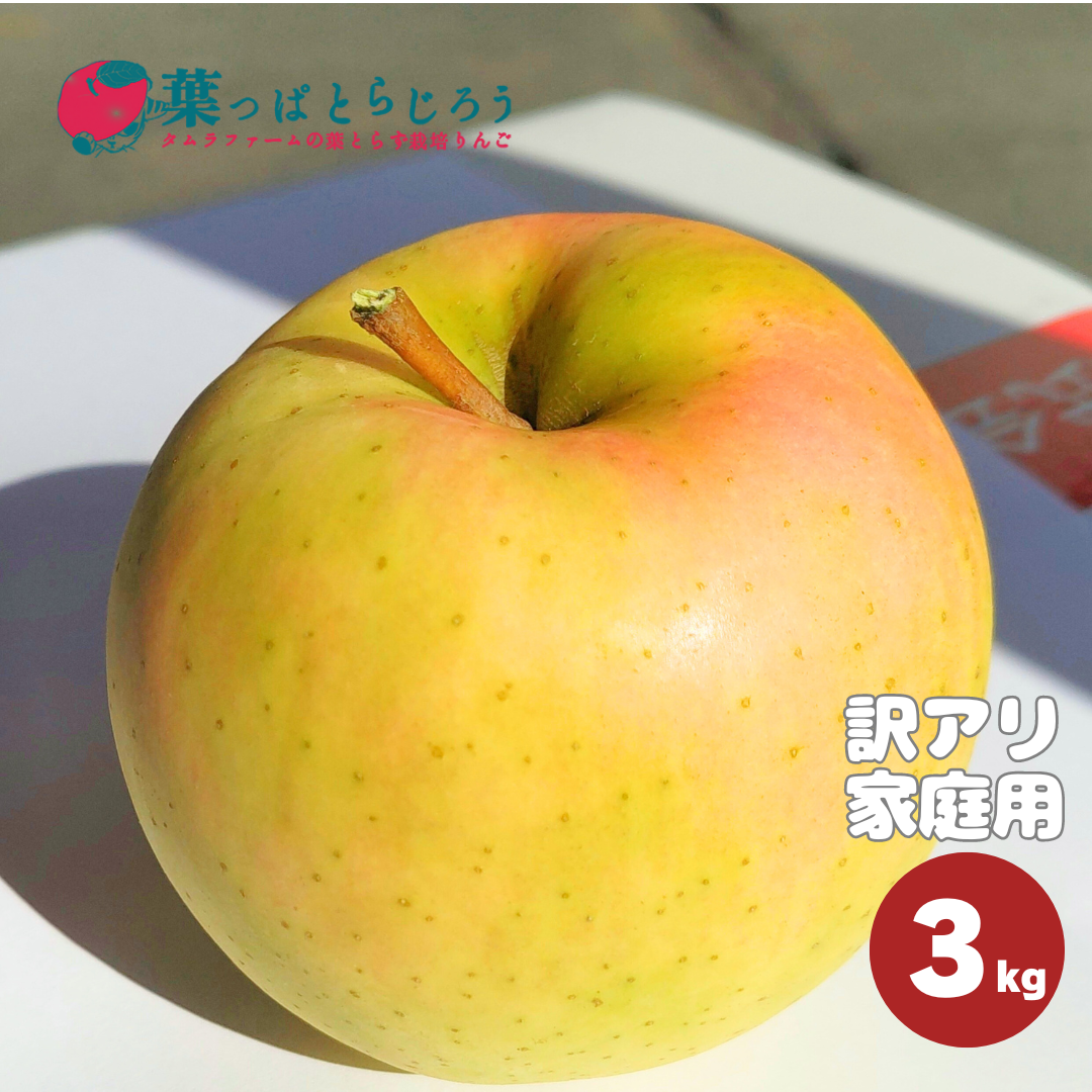 トキりんご 3kg | タムラファームショップ