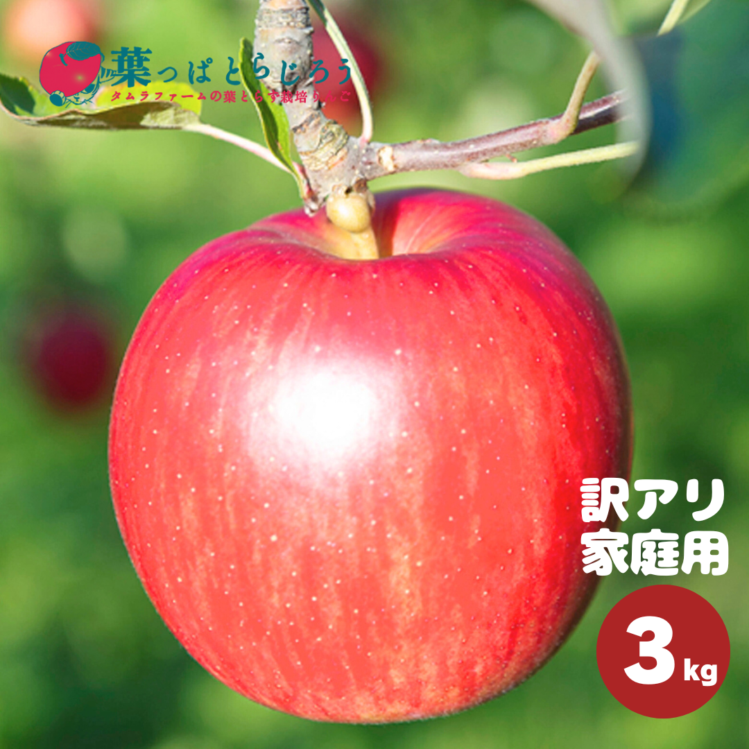 サンつがるりんご 3kg | タムラファームショップ