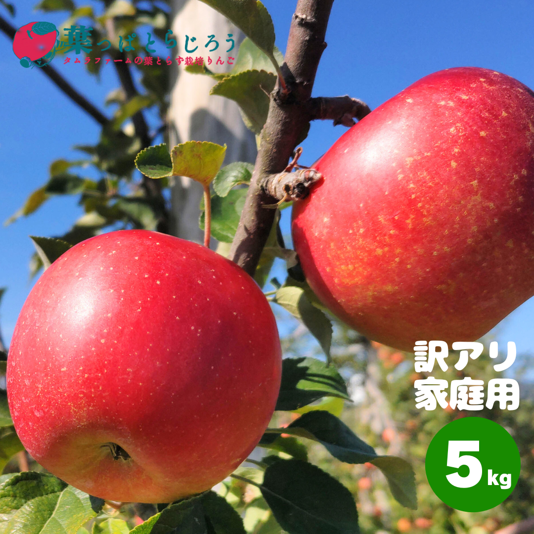 シナノスイート 5kg | タムラファームショップ