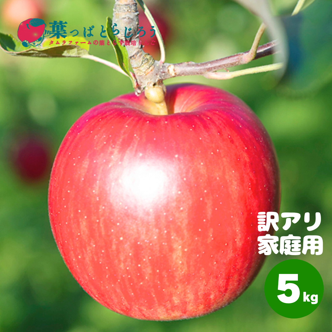 【Summer プロフィールご確認専用】SAGAMINK  金タグ サンつがる 5kg | タムラファームショップ