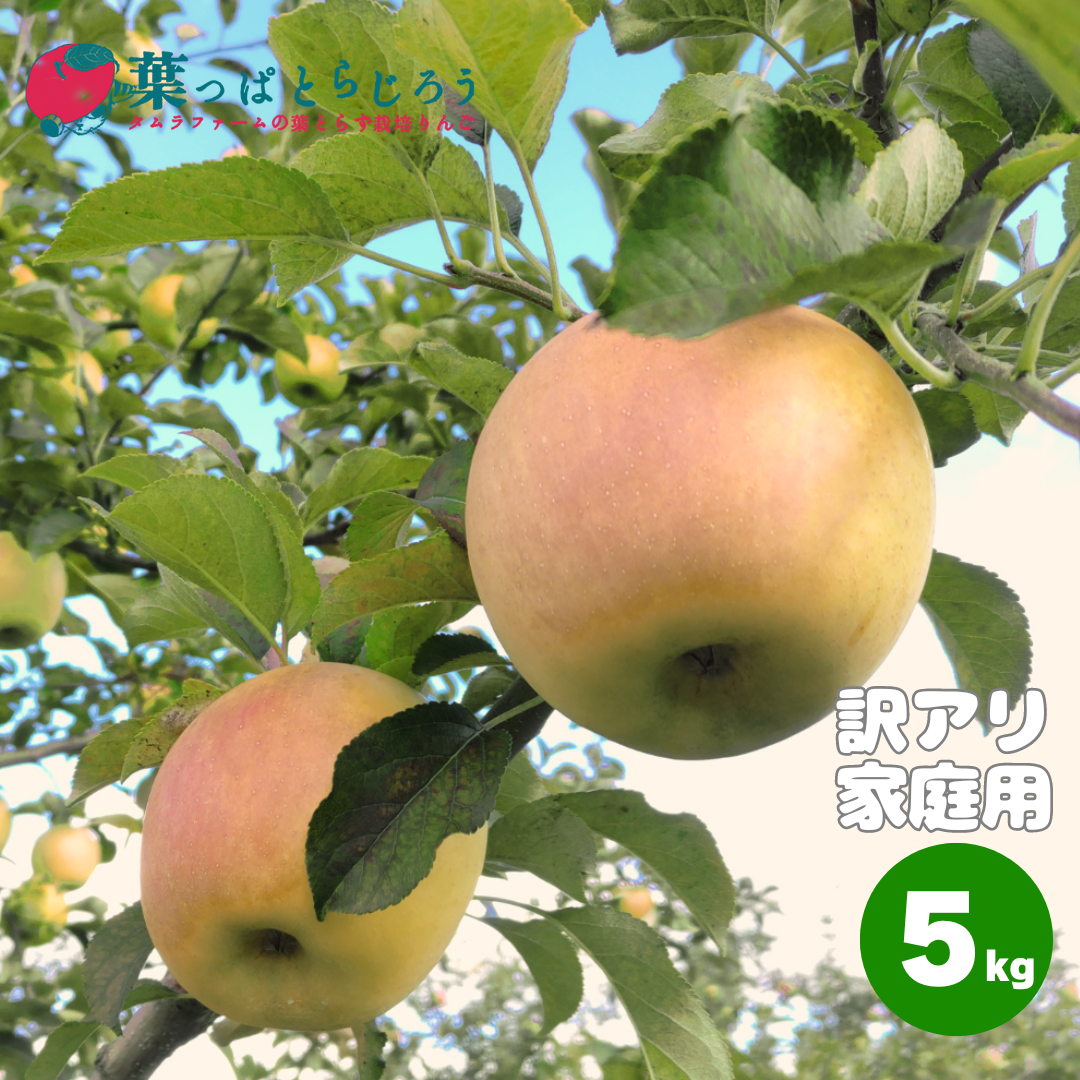 ぐんま名月 5kg | タムラファームショップ