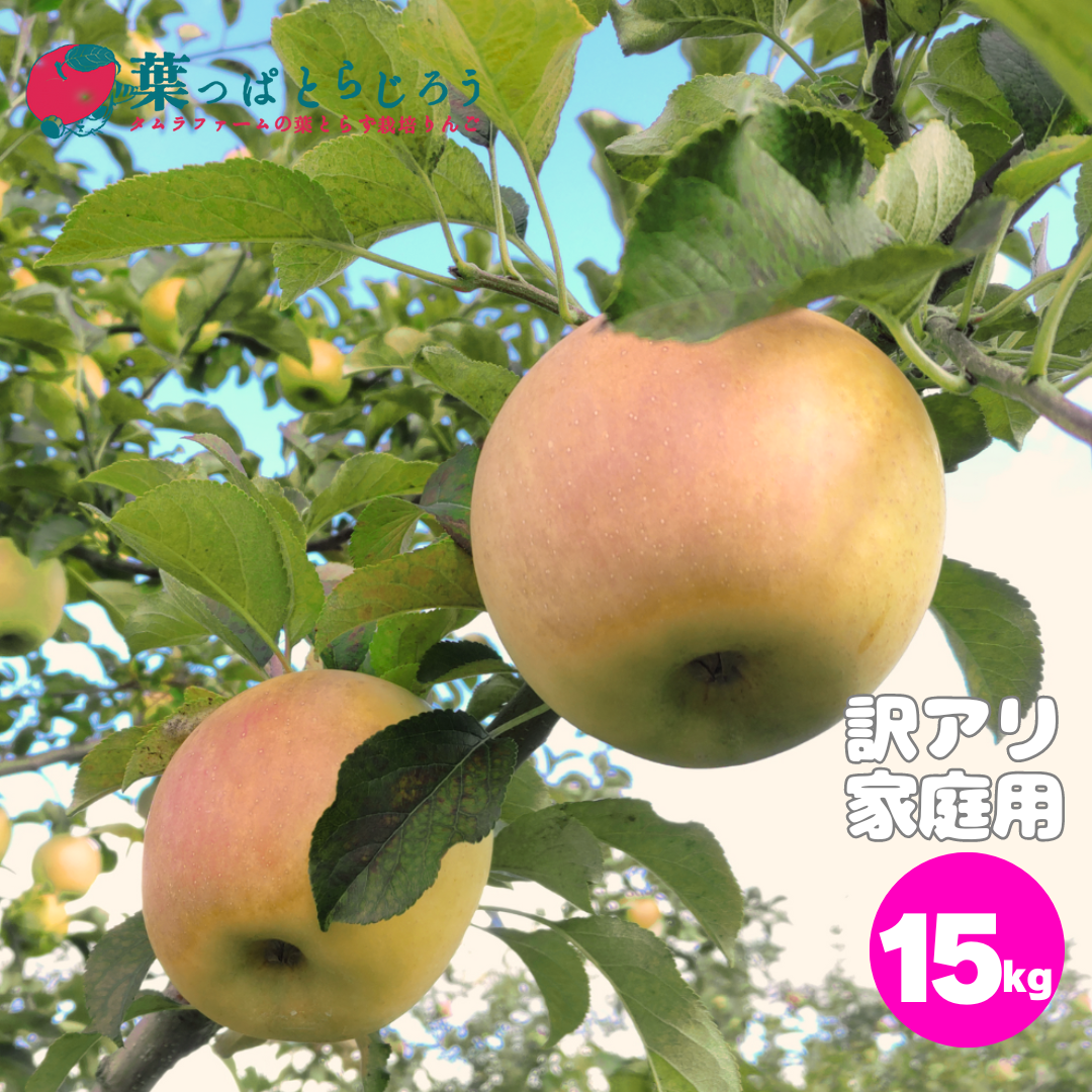 ぐんま名月葉っぱとらじろうりんご15kg | タムラファームショップ