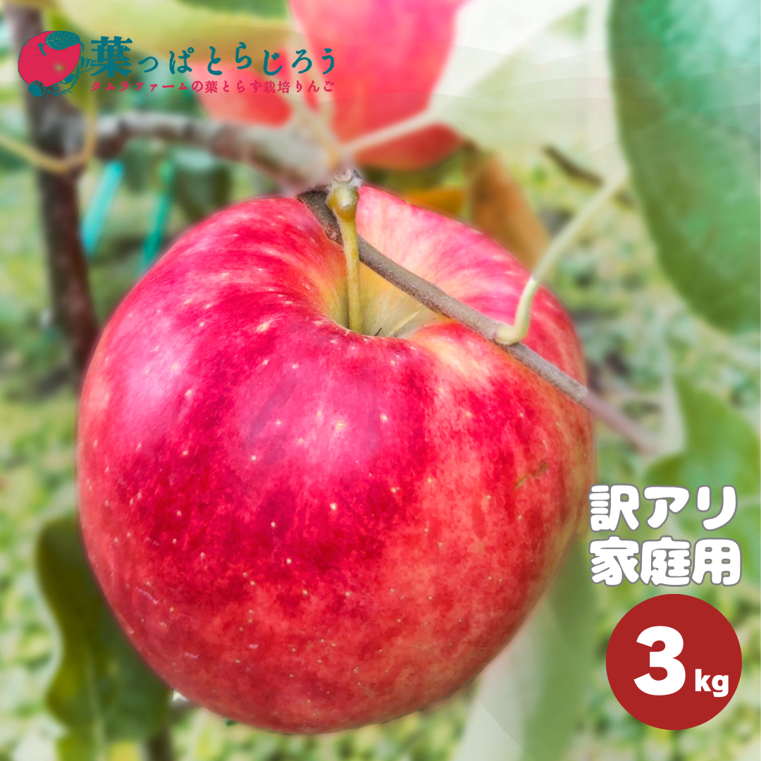 未希ライフりんご 3kg | タムラファームショップ