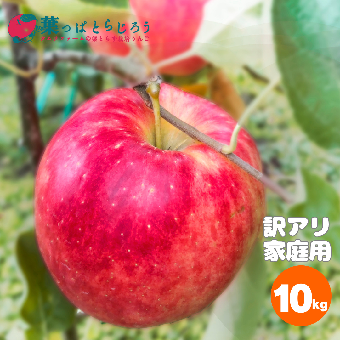 りんご LS 2点 未希ライフ葉っぱとらじろうりんご10kg | タムラファームショップ