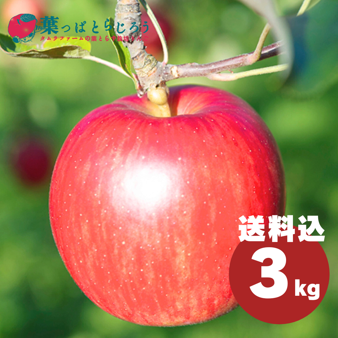 サンつがるりんご 3kg | タムラファームショップ