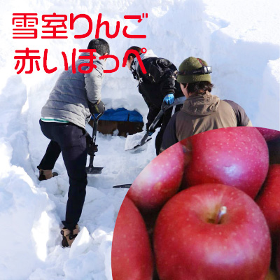 赤いほっぺ(サンふじ・予約販売)