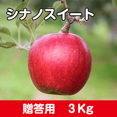 シナノスイート【贈答用】３kg