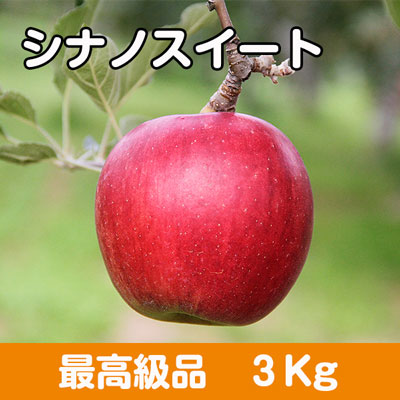 シナノスイート【最高級品】３kg