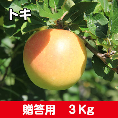トキ【贈答用】３kg
