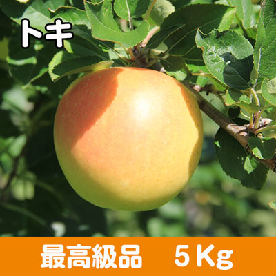 トキ【最高級品】５kg