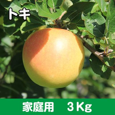 トキ【家庭用】３kg