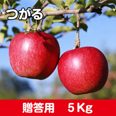 つがる【贈答用】５kg