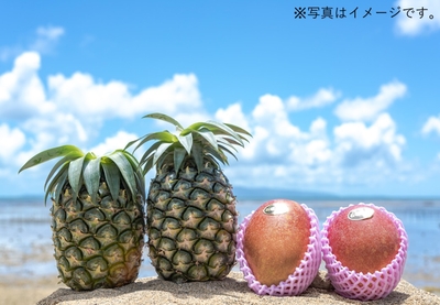 パイン＆マンゴーセット