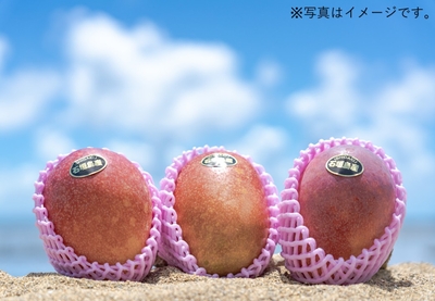 石垣島産　マンゴー