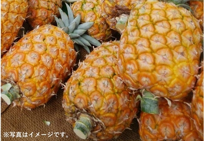 グランパイン