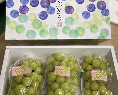 【クール便】贈答用シャインマスカット1.8kg（3房）