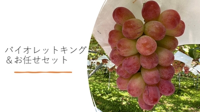 ぶどう農園直送⚠️さま用　vuvvセット ぶどうの通販｜果物｜食べチョク｜産地直送(産直)お取り寄せ通販