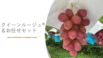 まなママ様クイーンルージュ