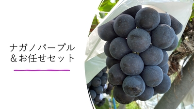 【クール便】ナガノパープルセット