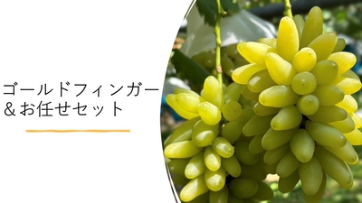 【クール便】ゴールドフィンガーセット