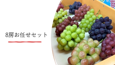 8房お任せセット