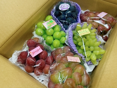 富士の輝セット