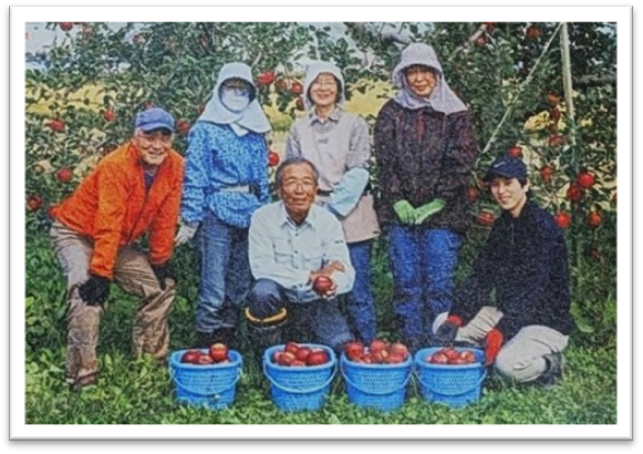 2023年のサンふじ