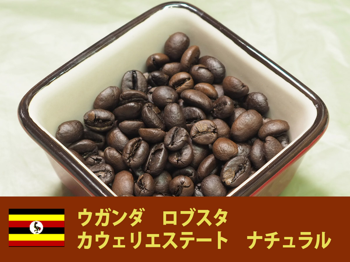 数量限定/セール!【コーヒー生豆】ウガンダ/ロブスタ/カウェリ 