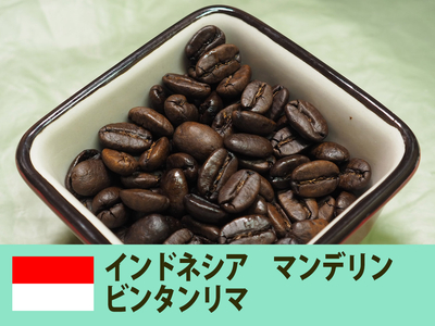 インドネシア マンデリン ビンタンリマ 500g | 瀬戸汐待珈琲