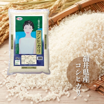 コシヒカリ　5kg　令和７年福井県産