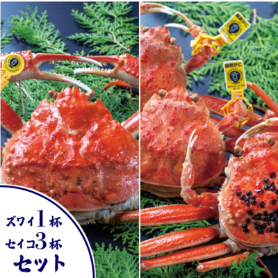 越前ズワイガニ・セイコガニセット