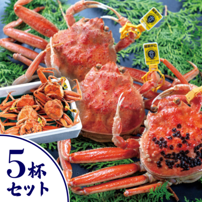 越前セイコガニ ５杯セット
